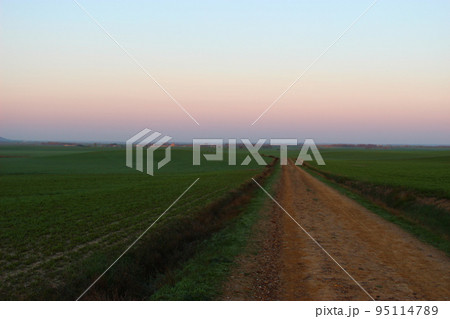 果てしない道、カミーノ（サンティアゴ巡礼） 95114789