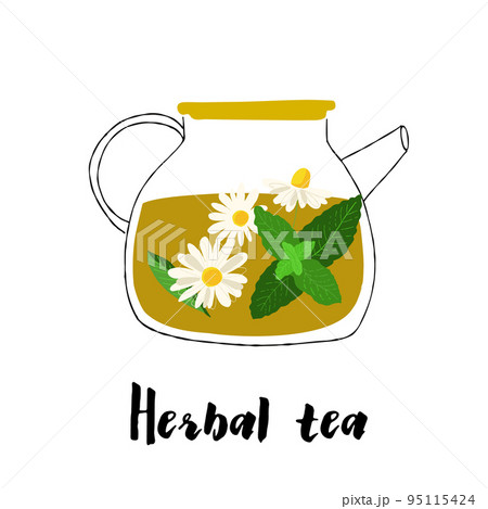 Illustration of a glass teapot with herbal Illustration of a glass teapot with herbal 95115424