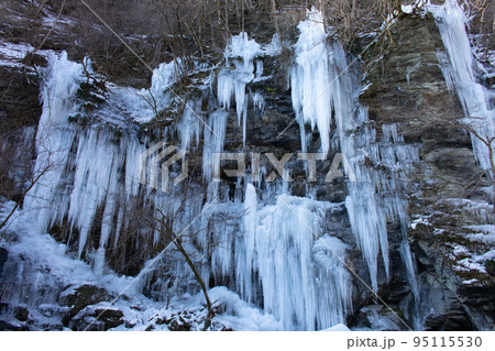 埼玉県　秩父市　三十槌の氷柱 95115530