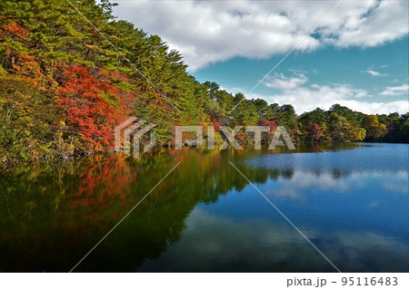 裏磐梯の紅葉 裏磐梯の紅葉 95116483