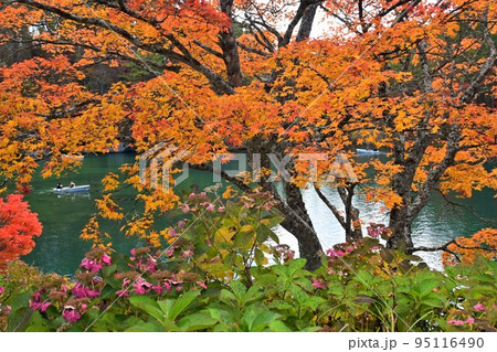 裏磐梯の紅葉 裏磐梯の紅葉 95116490