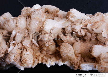 Closeup of Stilbite. Stilbite is a low-temperature secondary hydrothermal mineral. It occurs in the amygdaloidal cavities of basaltic volcanic rocks Closeup of Stilbite. Stilbite is a low-temperature secondary hydrothermal mineral. It occurs in the amygdaloidal cavities of basaltic volcanic rocks 95116660