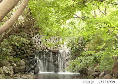 白根公園の白糸の滝 95116939