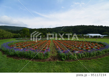 山中湖花の都公園 95117234
