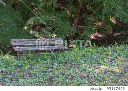 茨城県日立市　小木津山自然公園内のベンチ 95117496