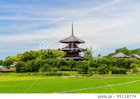 【奈良県】生駒郡 法起寺 95118774