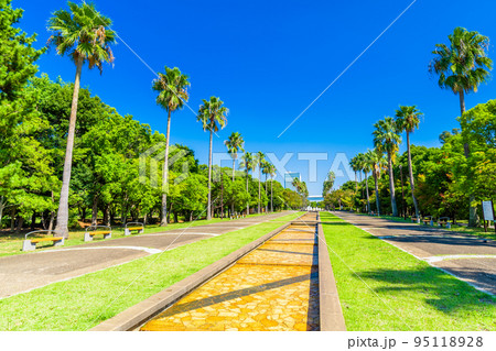 東京 潮風公園の風景 東京 潮風公園の風景 95118928