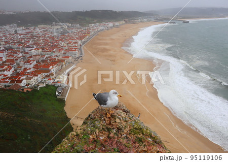 ポルトガルのリゾート地、ナザレ(Nazare in Portugal) ポルトガルのリゾート地、ナザレ(Nazare in Portugal) 95119106