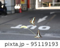 蝶 95119193