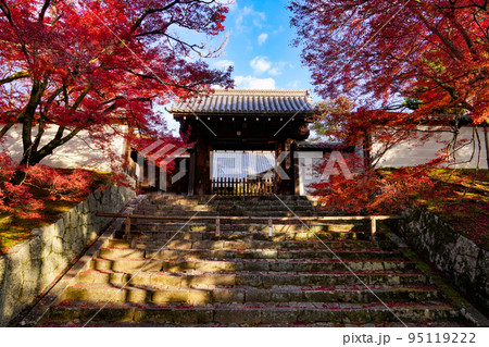 曼殊院 紅葉に包まれた勅使門 京都市 曼殊院 紅葉に包まれた勅使門 京都市 95119222
