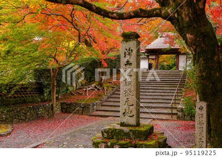 紅葉に包まれる安楽寺山門 京都市 紅葉に包まれる安楽寺山門 京都市 95119225