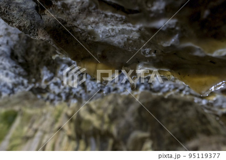 北海道　当麻鍾乳洞 95119377