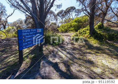 Skeleton Bay Walk in Tasmania Australia 95119592