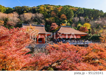 秋の京都　清水寺　阿弥陀堂と奥の院 95120341