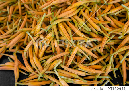 Dry orange day lily flower harvest in the farm 95120931