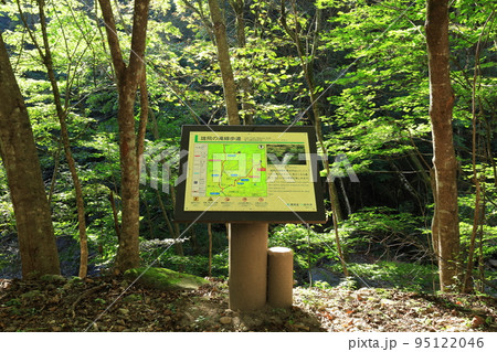 那須塩原市の秘境！スッカン沢　雄飛の滝線歩道をハイキング 95122046