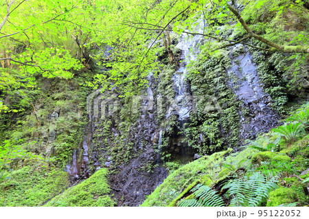 那須塩原市の秘境スッカン沢　雄飛の滝線歩道　薙刀岩／栃木県 95122052