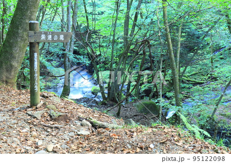 スッカン沢の滝巡り 素簾の滝/栃木県那須塩原市 スッカン沢の滝巡り 素簾の滝/栃木県那須塩原市 95122098