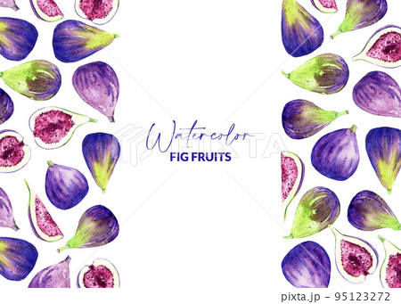 Watercolor figs. Hand drawn illustration of edible purple fruits. Template design for recipe, packaging, menu, greeting card Watercolor figs. Hand drawn illustration of edible purple fruits. Template design for recipe, packaging, menu, greeting card 95123272