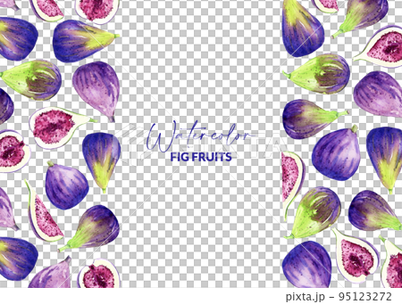 Watercolor figs. Hand drawn illustration of edible purple fruits. Template design for recipe, packaging, menu, greeting card Watercolor figs. Hand drawn illustration of edible purple fruits. Template design for recipe, packaging, menu, greeting card 95123272