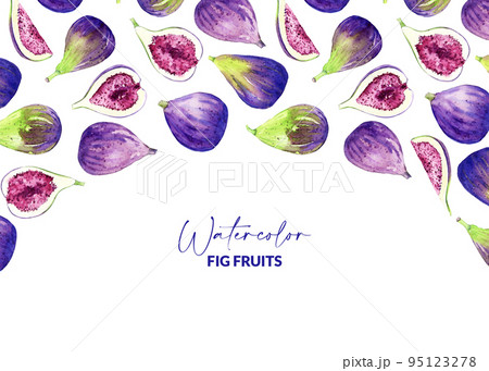 Watercolor figs. Hand drawn illustration of edible purple fruits. Backdrop design for recipe, packaging, menu. Watercolor figs. Hand drawn illustration of edible purple fruits. Backdrop design for recipe, packaging, menu. 95123278