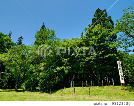 長篠城本丸跡 長篠城本丸跡 95123580