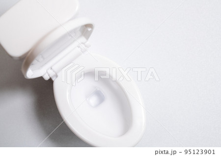 トイレの模型 95123901