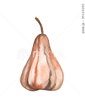 Autumn pumpkin cut out. Watercolor illustration for autumn holidays and thanksgiving day 95124202