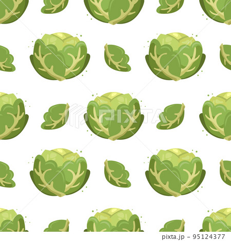 Seamless pattern, white cabbage, vegetable print. Kitchen decor, textile, vector 95124377