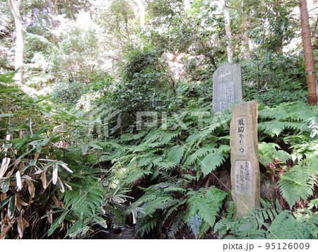 東勝寺跡 腹切やぐら入口 東勝寺跡 腹切やぐら入口 95126009