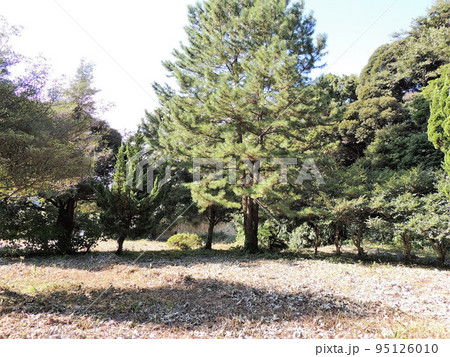 東勝寺跡 東勝寺跡 95126010