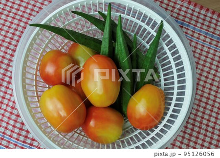 Fresh Okra and Tomatoes Before Cooking 95126056