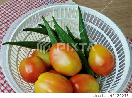 Fresh Okra and Tomatoes Before Cooking 95126058