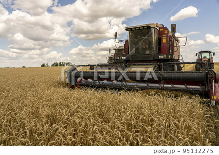 The battle for the harvest in Russia, combines and other agricultural machinery lined up in the diagonal for the harvest of wheat and other grains 95132275