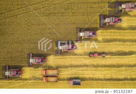Harvesters and other agricultural machinery lined up in a diagonal for harvesting wheat top view from the quadcopter Harvesters and other agricultural machinery lined up in a diagonal for harvesting wheat top view from the quadcopter 95132287