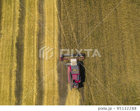 Harvester removes wheat field, top view from the quadcopter Harvester removes wheat field, top view from the quadcopter 95132288