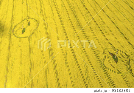 geometric shapes and patterns from agricultural machinery and power lines on the field of flowering rapeseed view from the top of the quadcopter geometric shapes and patterns from agricultural machinery and power lines on the field of flowering rapeseed view from the top of the quadcopter 95132305