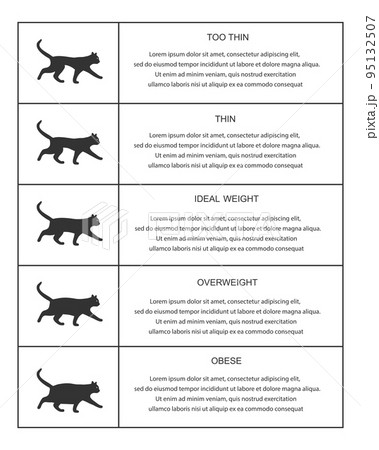 Cat weight chart in infographic table. Kitties silhouettes with normal and abnormal body condition. Thin, ideal, overweight and obese feline domestic pets 95132507