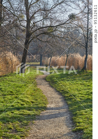Walk in the autumn lakeside park Walk in the autumn lakeside park 95132611