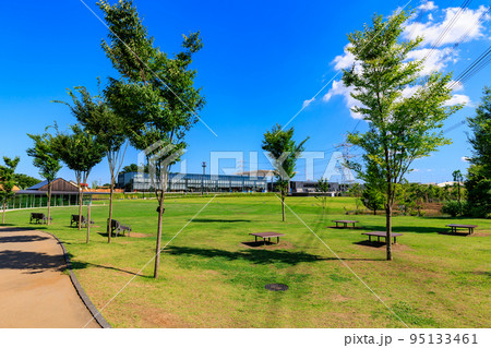 埼玉県　川口市にあるイイナパーク川口　芝生広場 95133461