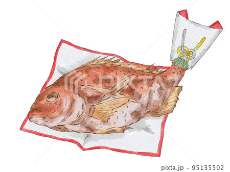 飾り付きの鯛の姿焼きのイラスト（水彩風）のイラスト素材 [95135502