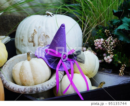 可愛いカボチャの飾り　ハロウィーン感謝祭 95135744
