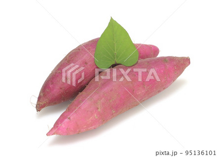 新鮮な薩摩芋(紅はるか) 新鮮な薩摩芋(紅はるか) 95136101