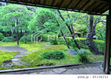 日本庭園の緑を臨む部屋 95136232