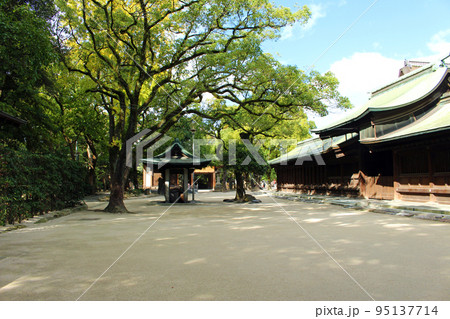 箱崎宮の裏参道の風景 箱崎宮の裏参道の風景 95137714