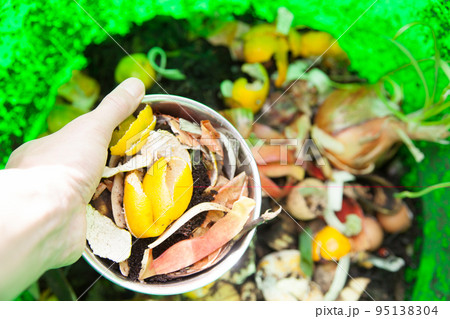 野菜の皮で堆肥を作る 95138304