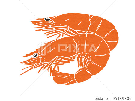 複数のエビのつや煮のイラスト（版画風）のイラスト素材 [95139306