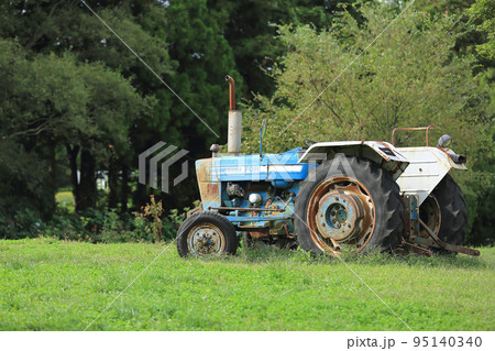 夏 農業 畑 95140340