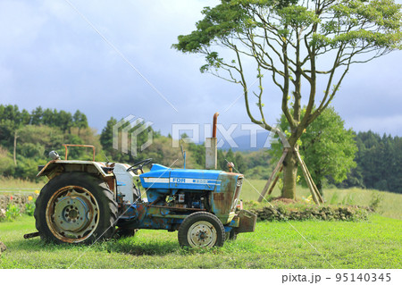 夏 農業 畑 95140345