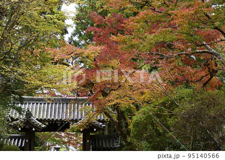 赤山禅院　山門 95140566